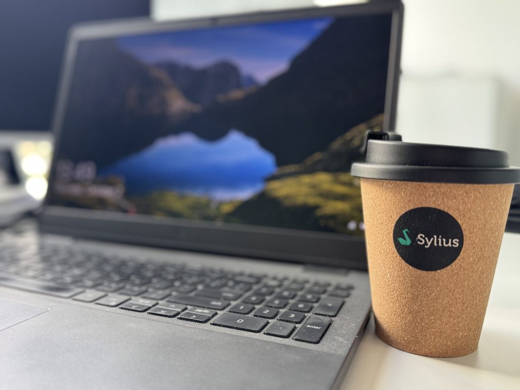 Platforma de comerț electronic „Sylius”: când să o folosești și când să o eviți?